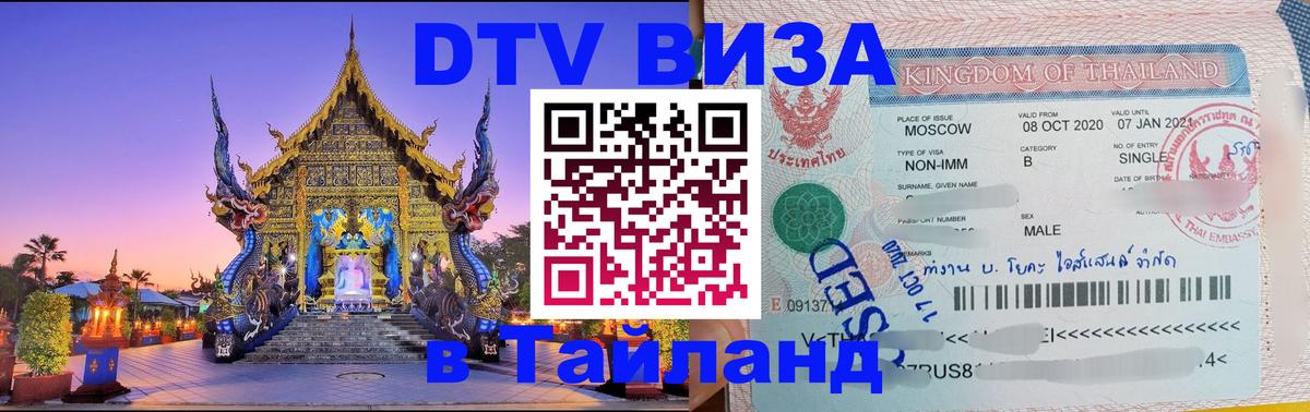 Оформление DTV визы под ключ: стоимость и тарифы, только загранпаспорт - 
